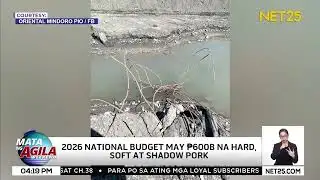 2026 national budget, may ₱600-B hard, soft at shadow pork