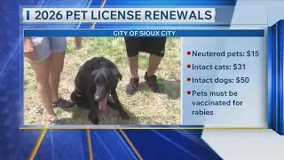 2026 Pet License Renewal