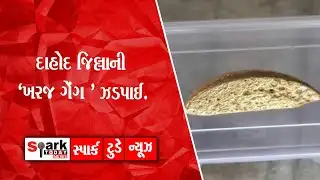 દાહોદ જિલ્લાની 