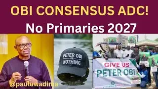 2027: Why Obidients Now Want Peter Obi as ADC Consensus Candidate – No Primaries Needed! 