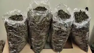 വനിതാ കംപാർട്ട്മെന്റിൽ കഞ്ചാവ് ബാഗ്; ഒലവക്കോട് പിടി കൂടിയത് 25 കിലോ | Palakkad Ganja