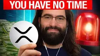 25,000 Whales Just LOADED XRP