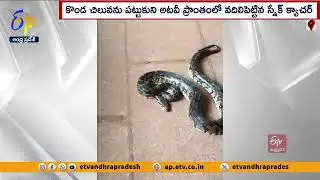అలిపిరి 2500 మెట్టు వద్ద భారీ కొండ చిలువ | Huge Python Snake Seen at 2500th Step at Alipiri