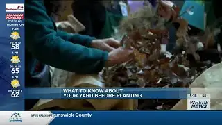 25th annual Tree Fest giving away free plants