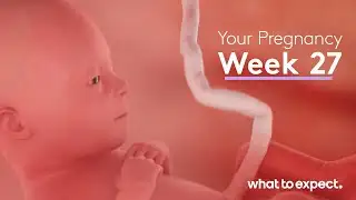27 Weeks Pregnant - What to Expect