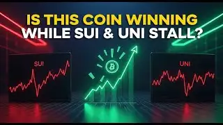 2nd Feb Digitap Update Is This Coin Winning While SUI & UNI Stall 7