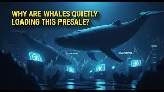 2nd Feb Digitap Update Why Are Whales Quietly Loading This Presale 4