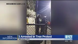 3 Arrested After Protesting PG&E Plans To Cut Down Trees In Nevada City