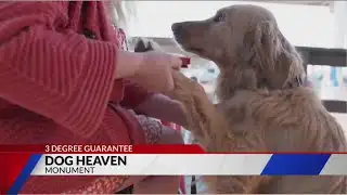 3-Degree Guarantee and WireNut support Dog Heaven