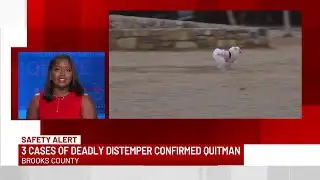 3 distemper cases confirmed in Quitman, pet owners asked to take action quickly