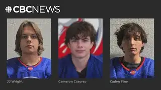 3 hockey players killed in Alberta crash identified