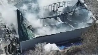 3 horses among animals dead after Branford barn fire: VIDEO