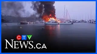 3 luxury yachts destroyed in marina fire