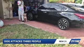 3 people hospitalized after dog attack in Riviera Beach