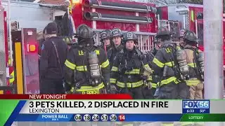 3 pets killed, 2 displaced in Lexington house fire