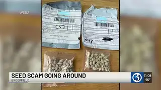 3 suspicious packages found in Brookfield; officials say it’s a brushing scam