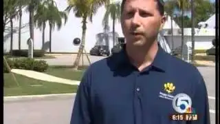 30 dogs recovering after rescue