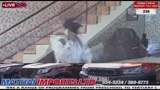 $30K Couva robbery suspect surrenders after Crime Watch spotlight—