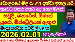 ඩොලරයේ මිල රු 311 දක්වා ඉහළට| 2026.02.01|Kuwait dinar  rate today|currency|remittance