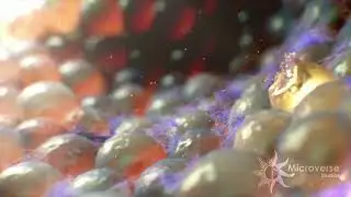 3D Motion Show // August 2021