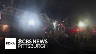 4 cats killed in house fire
