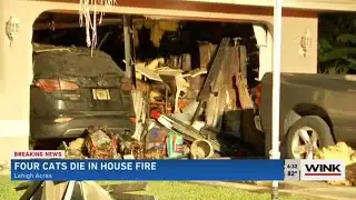 4 cats killed in Lehigh Acres house fire