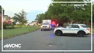 4 cats rescued, 2 cats killed in west Charlotte house fire