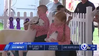 4-H Impact for NYS Fair