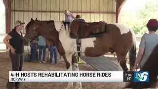 4-H program offers therapeutic horse riding in Dickinson County