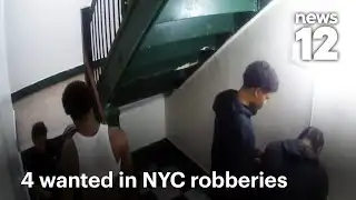 4 people wanted in connection to Bronx robbery pattern | News 12