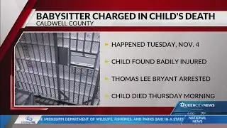 4-year-old dies after reported assault in Hudson; babysitter arrested