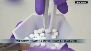 4 Your Health: Wegovy starter dose now as a daily pill