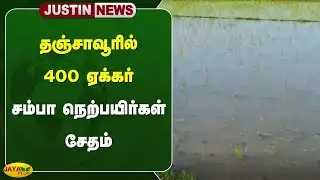தஞ்சாவூரில் 400 ஏக்கர் சம்பா நெற்பயிர்கள் சேதம் | Thanjavur Rain News | Jaya Plus