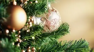 4th annual Tree-mendous Christmas Display at Jasper County Historical Museum