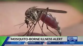 4th West Nile Virus case found in Fayette County