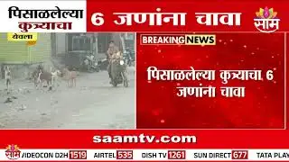येवला तालुक्यात भटक्या कुत्र्यांचा हल्ला! 5-6 जखमी | Yeola Stray Dog Attack