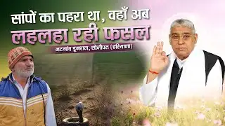 भटगांव डूंगरान, सोनीपत (हरियाणा) जहाँ 5 फुट पानी और सांपों का पहरा था, वहाँ अब लहलहा रही फसल।