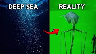 5 Most Dangerous Deep-sea Creatures (still alive today)