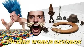 5 Unbelievable World Records That Actually Exist