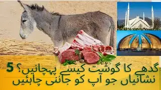 5 Ways to Identify Donkey Meat | Are You Eating donkey ?