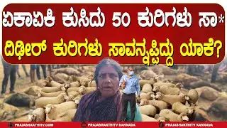 ಏಕಾಏಕಿ 50 ಕುರಿಗಳು ಸಾವು- ಕುರಿಗಳನ್ನು ಕಳೆದುಕೊಂಡು ಕುಟುಂಬಸ್ಥರ ಆಕ್ರಂದನ | PAVAGADA NEWS |