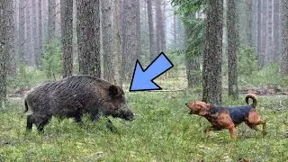 50 Crazy Facts About FLORIDA