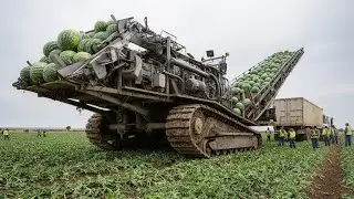 50 Modern Agriculture Machines Operating at Peak Efficiency