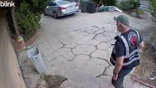 550-Pound Bear Living Under Man