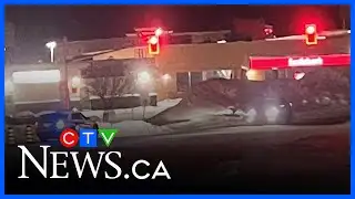 59-year-old dies after Algonquin Boulevard crash