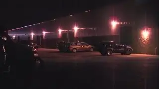 5am: Bear sighting in Willoughby