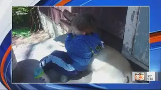 5pm News Bright Spot