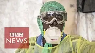 6 surprising stats about Ebola virus - BBC News