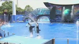 69 News Morning NETCAST for 02/02/22