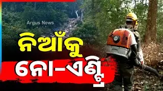 7,000 Fire Lines, 700 Staff Deployed To Control Fire | Similipal Forest Fire | Argus News